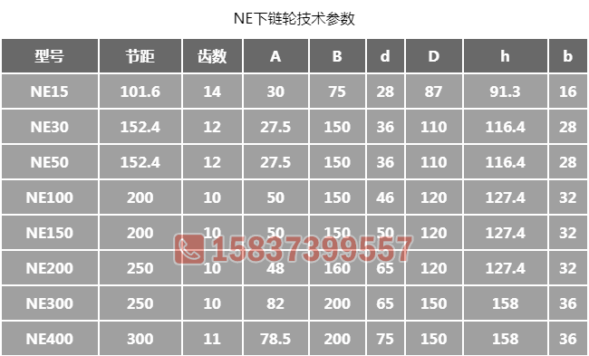 NE提升机下链轮尺寸